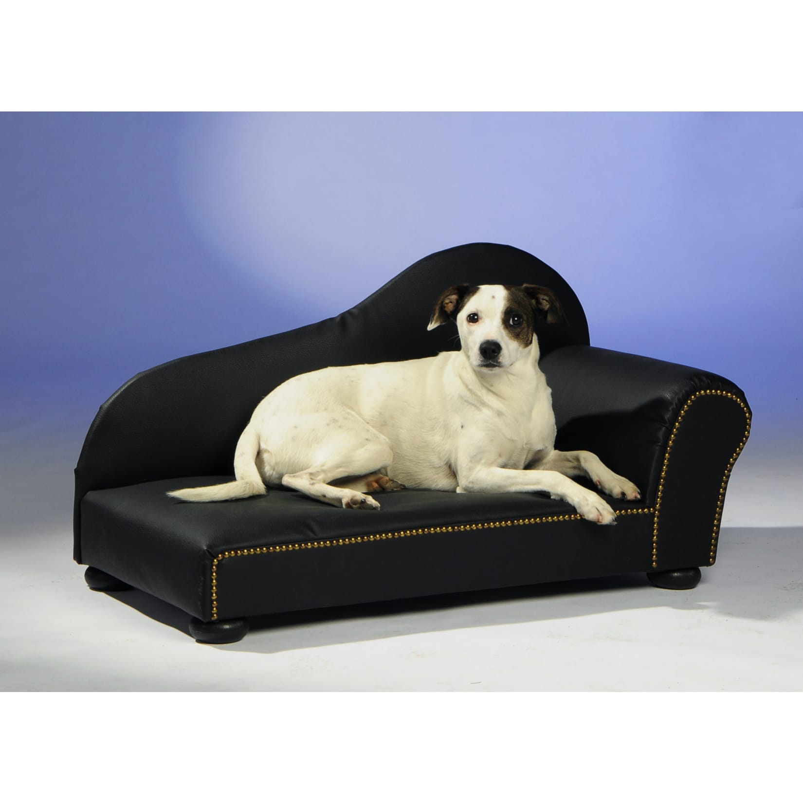 Silvio Design Heimtierottomane in Lederoptik, B 75 x T 39 cm 