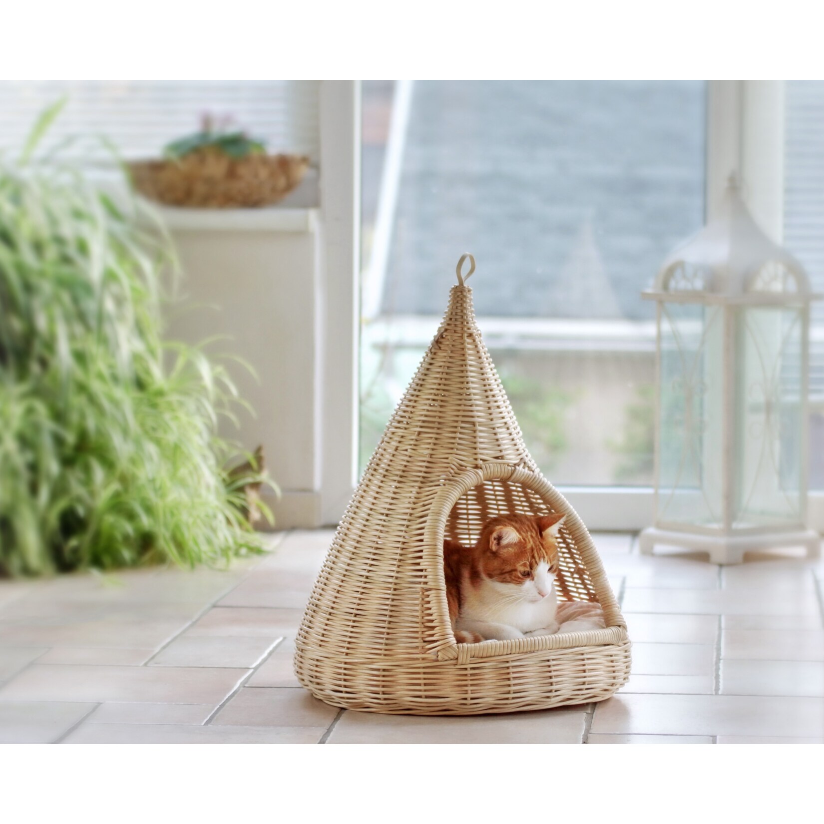 Silvio Design Sammy Katzen H&auml;ngekorb 