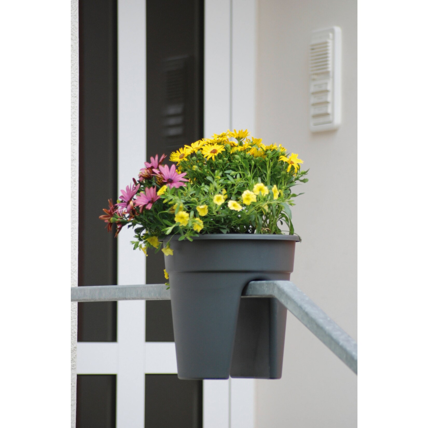 Blumentopf Flowerclip 3-er Set