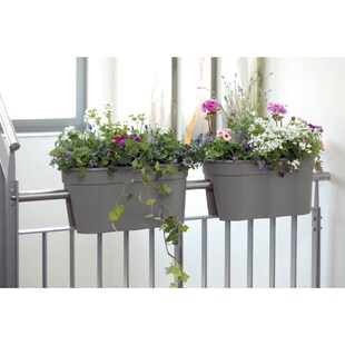 Blumenkasten Flowerclip XL 