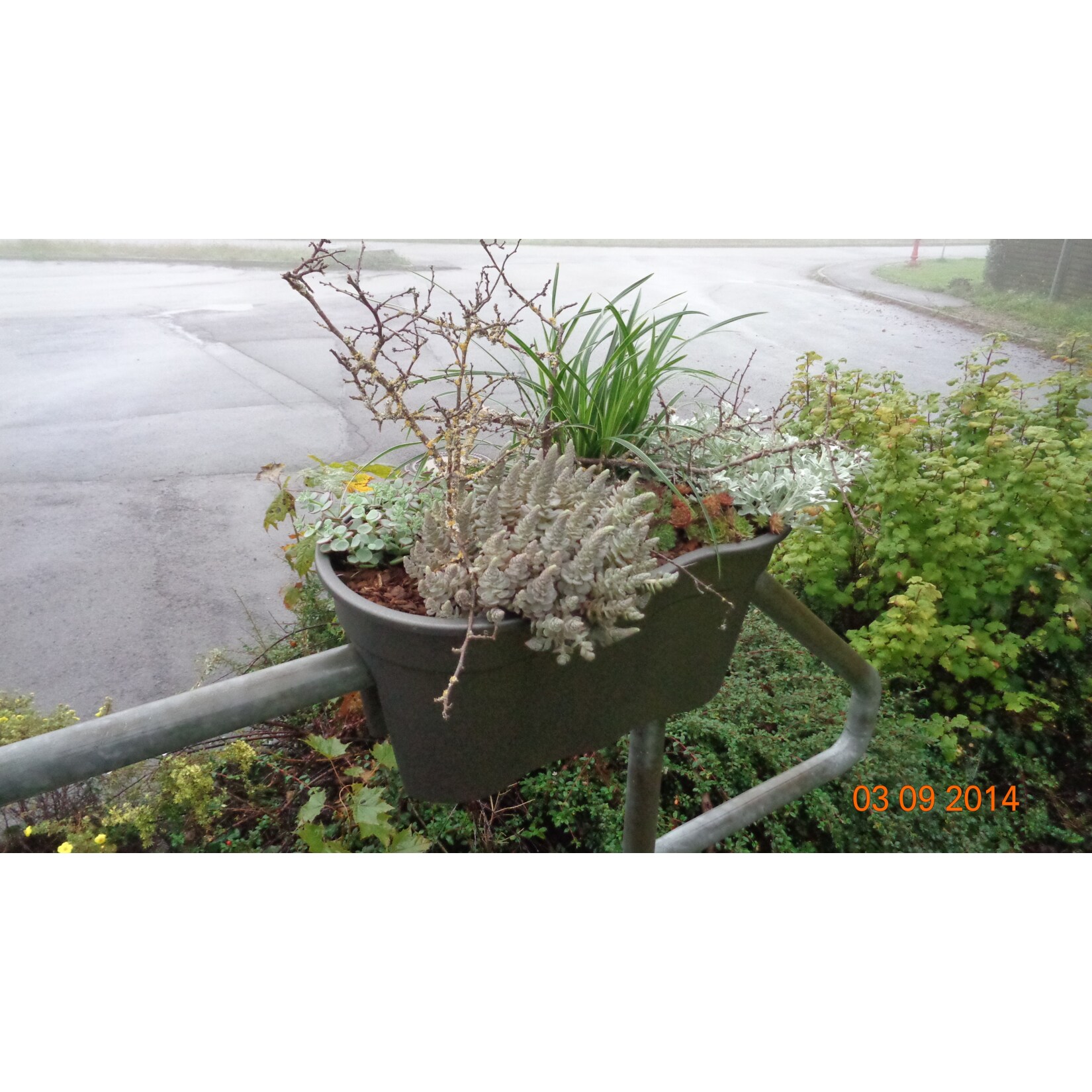 Blumenkasten Flowerclip XL 