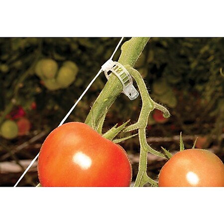 Rion Tomatenrank-Kit, 6 Stk. 