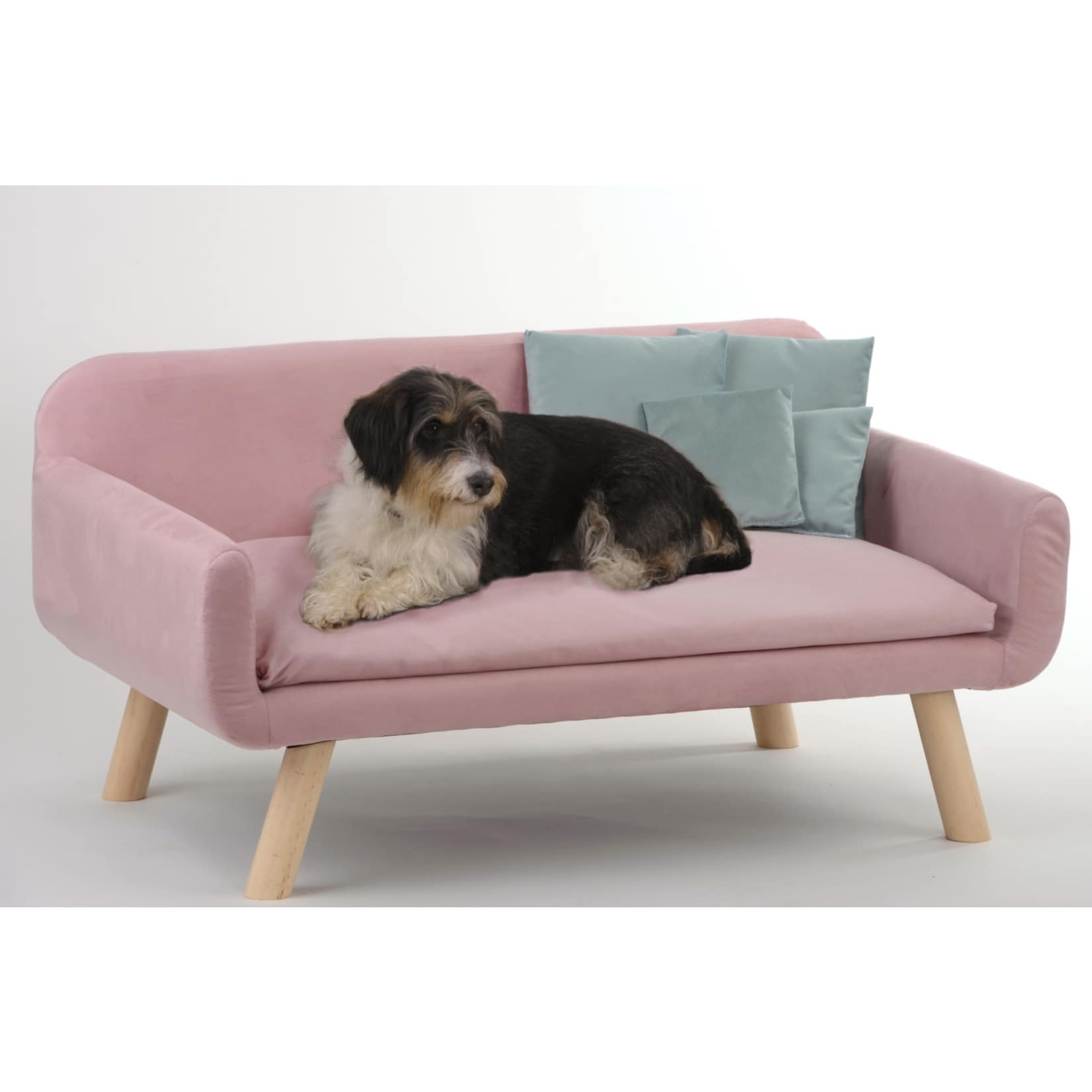 SILVIO DESIGN Hundesofa &raquo;Cora&laquo; | versch. Farben 
