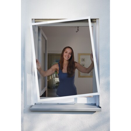 Telescope Insektenschutz-Fenster, Marktkauf weiß, 120 x bei cm Schellenberg online 100 bestellen
