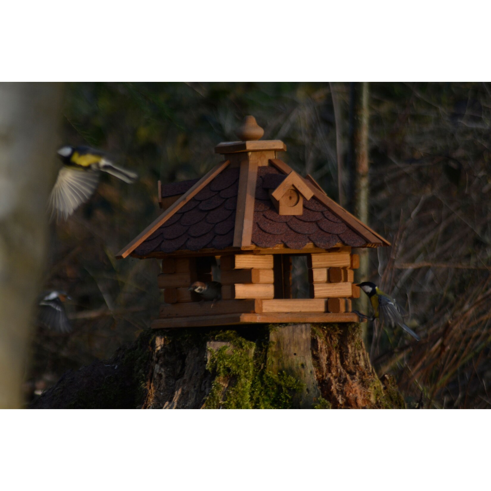 Rustikales XL-Vogelfutterhaus im Blockhaus-Stil mit rotem Bitumendach, Vogelhaus mit 6 Einfluglöchern