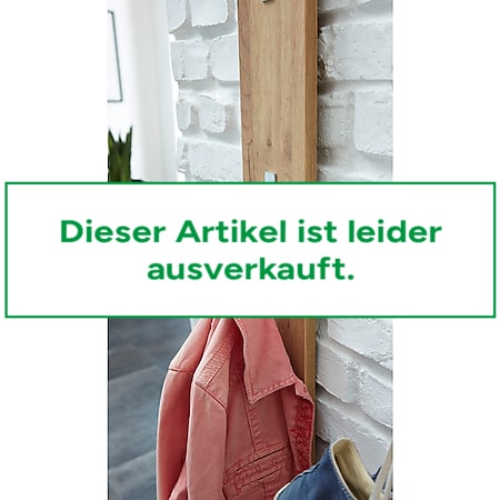 Germania Garderobenpaneel mit drei ausklappbaren Kleiderhaken aus Metall  3348 bei Marktkauf online bestellen