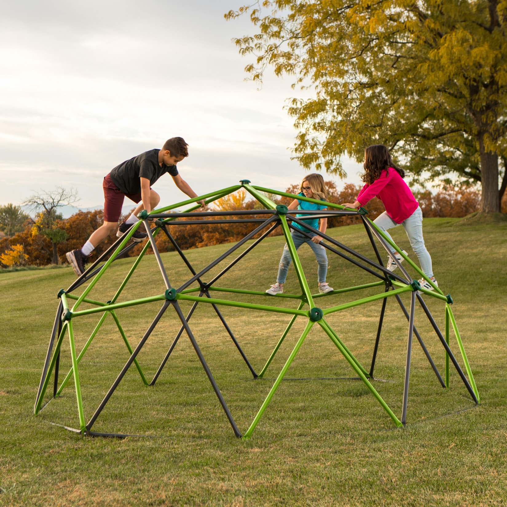 Lifetime Kletterger&uuml;st Geodome gr&uuml;n/bronze 
