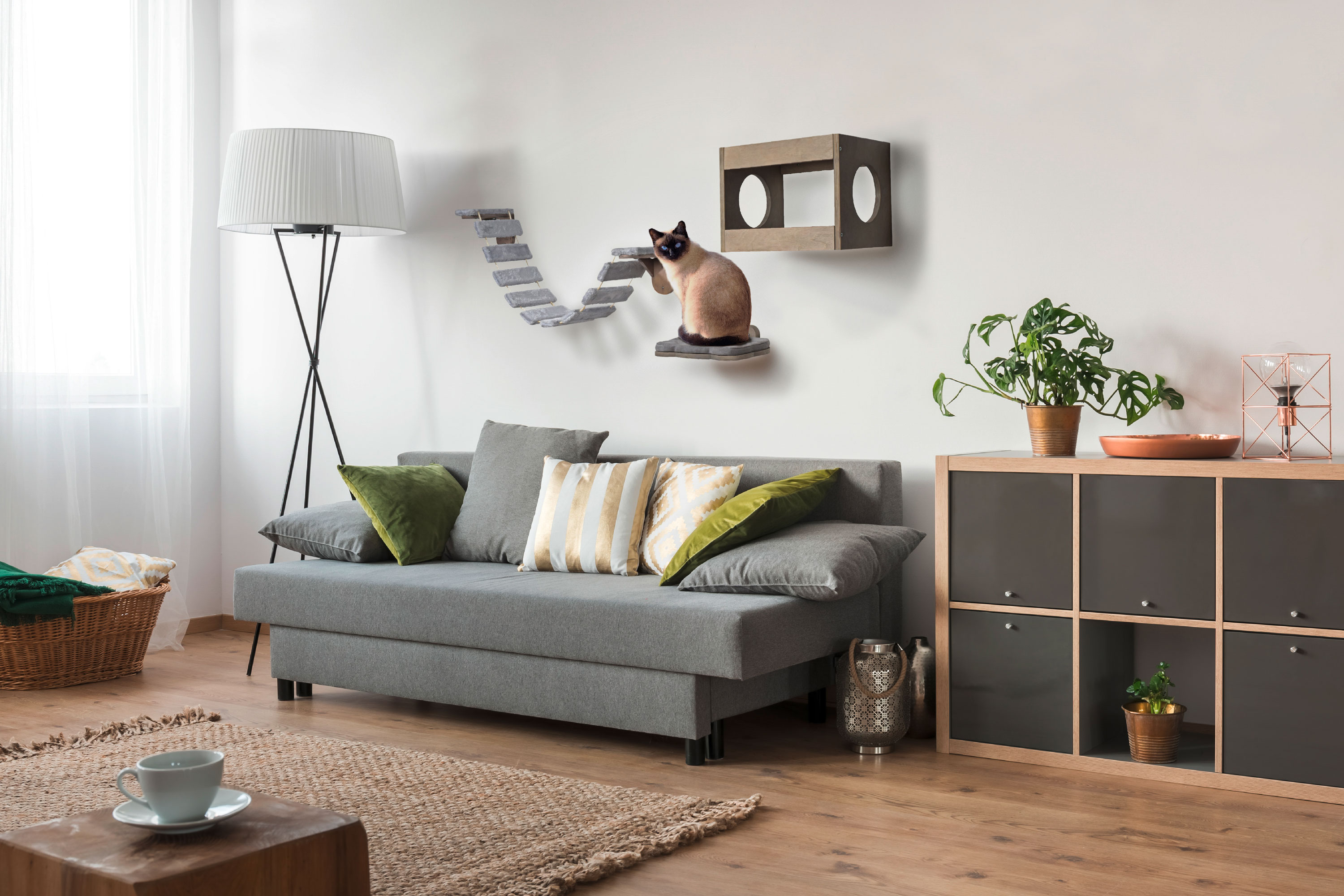 Katzenm&ouml;bel-Set mit Leiter, H&ouml;hle und Liegefl&auml;che 