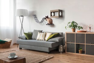 Katzenmöbel-Set mit Leiter, Höhle und Liegefläche 