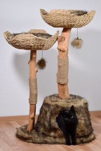 Design-Katzenmöbel "Tony" 
