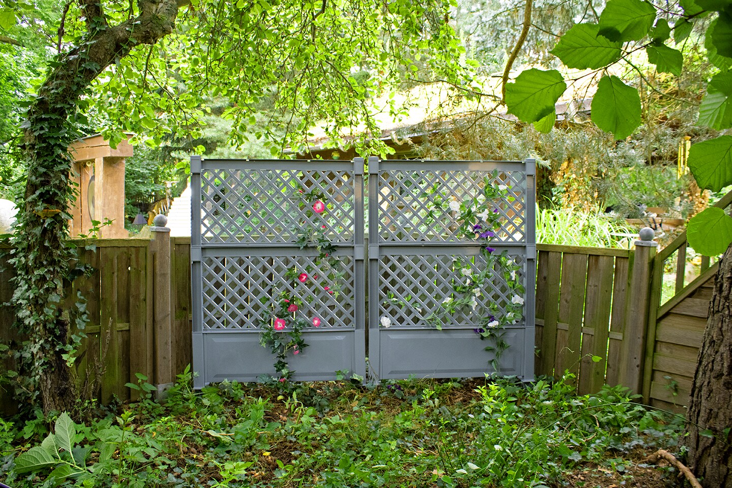 Spalier 100 cm mit Erdspieß, grau, 2er Set