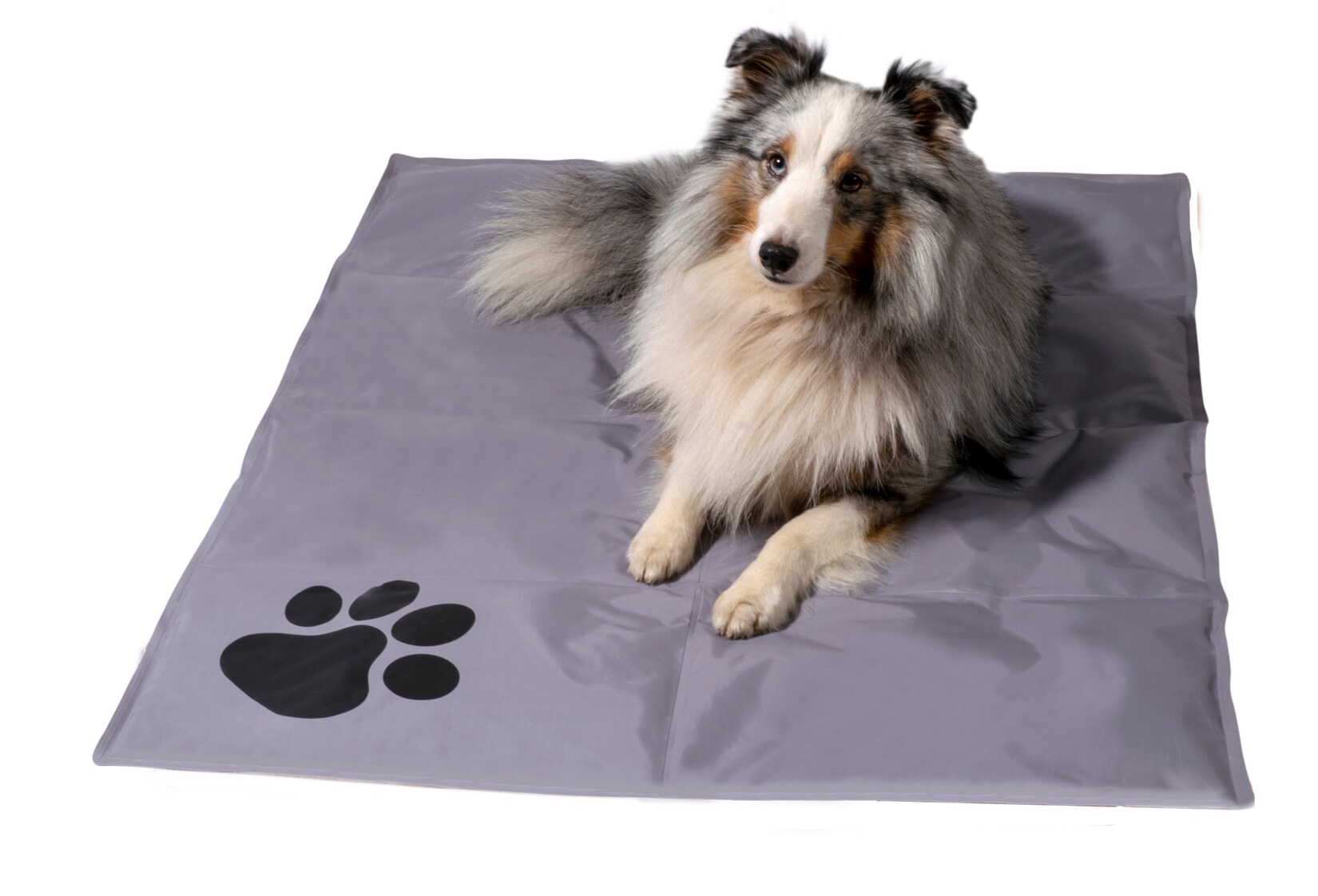 Große Kühlmatte für Hunde, selbstkühlende Haustiermatte mit Pfotenmuster   versch. Farben