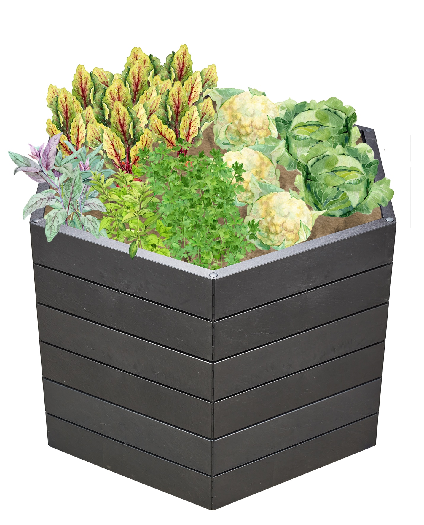 GARANTIA ERGO Hochbeet Stony L 75 