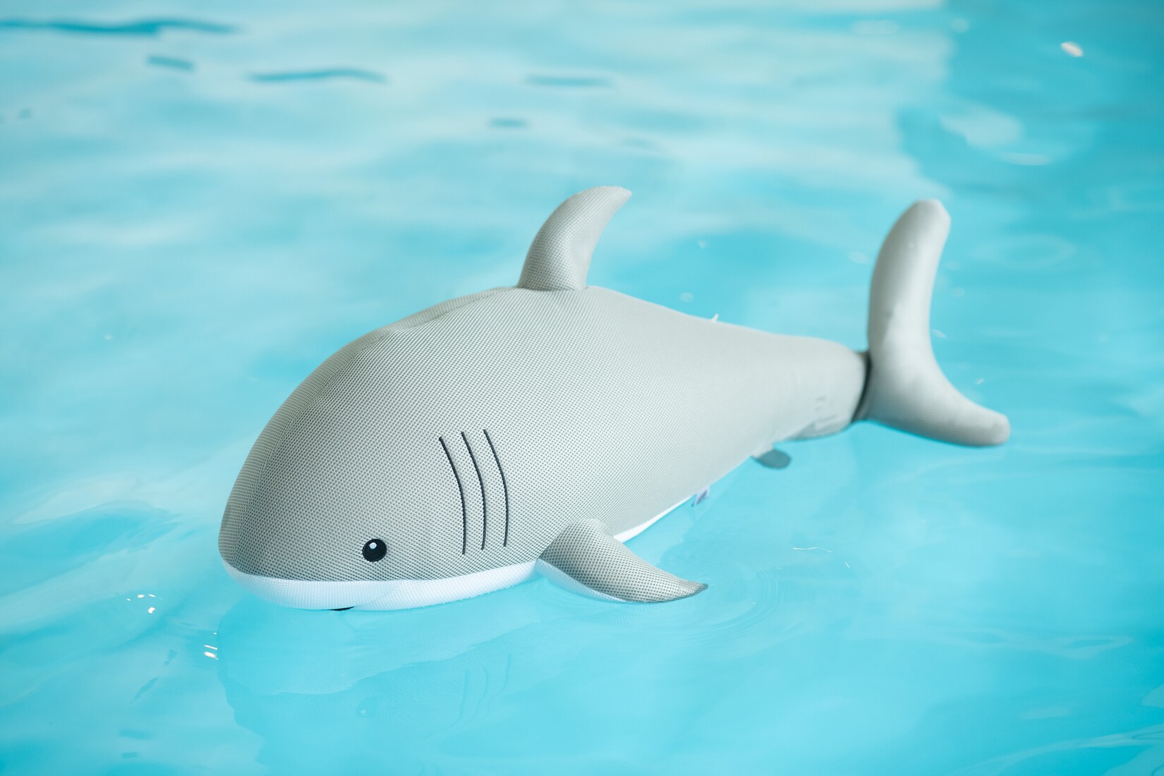 Pool Buddy versch. Ausführungen