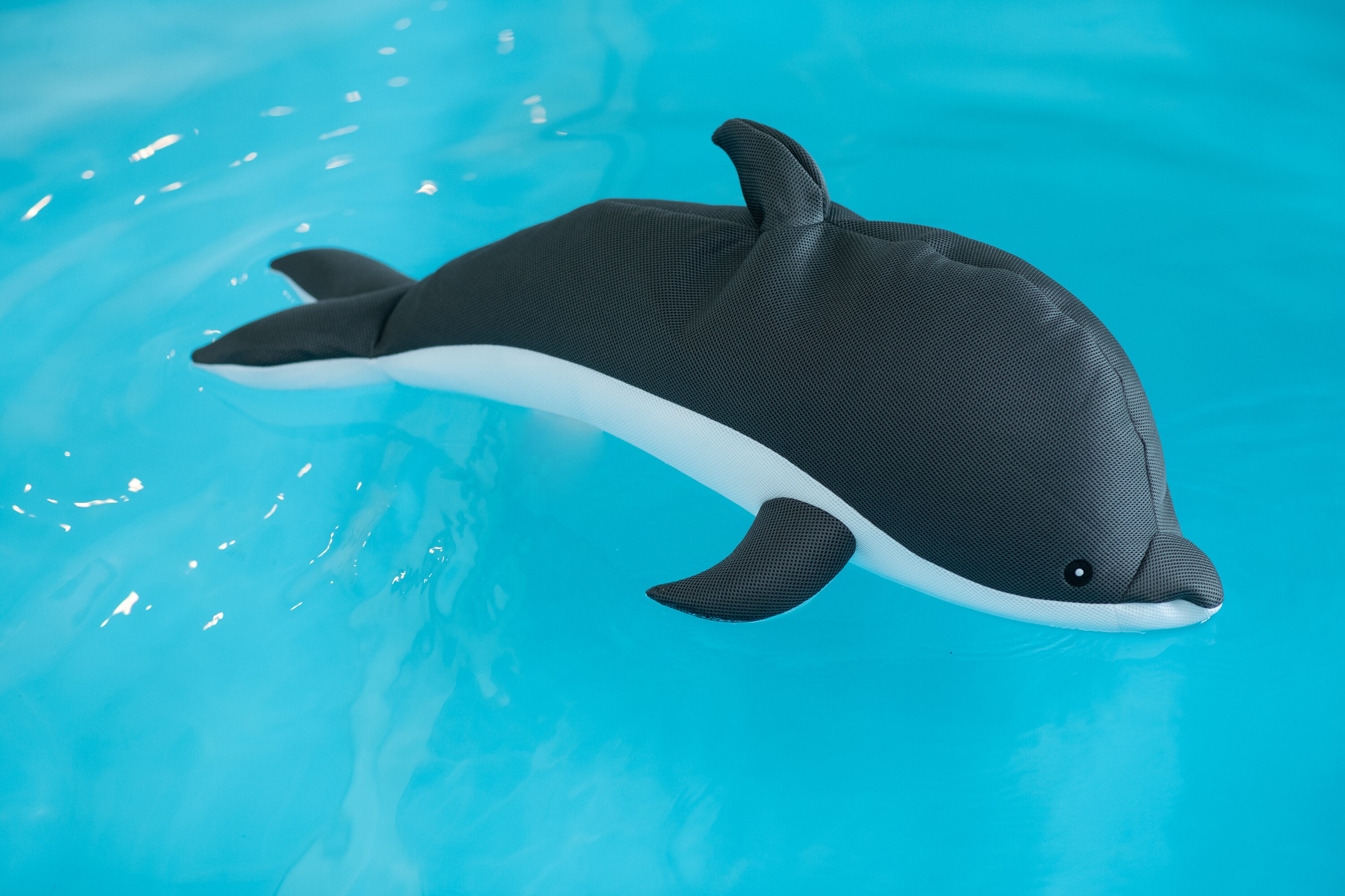 Westmann Pool Buddy versch. Ausf&uuml;hrungen 