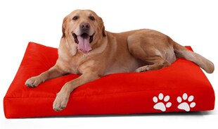 Tierkissen Quadrat versch. Farben - Rot 