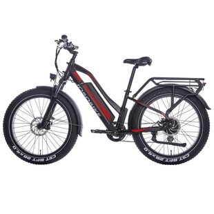 JOBOBIKE, Robin Hardtrail, Damen E-Bike 26 Zoll Fat-Reifen 250 W 