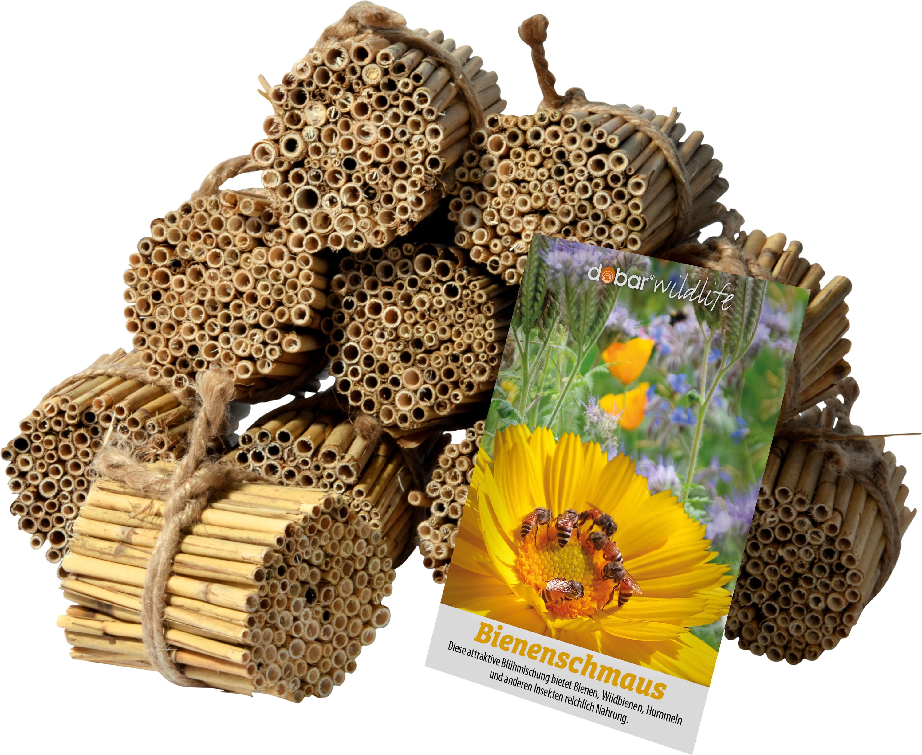 dobar green label Schilfrohrhalme-Set plus Samenmischung "Bienenschmaus" 