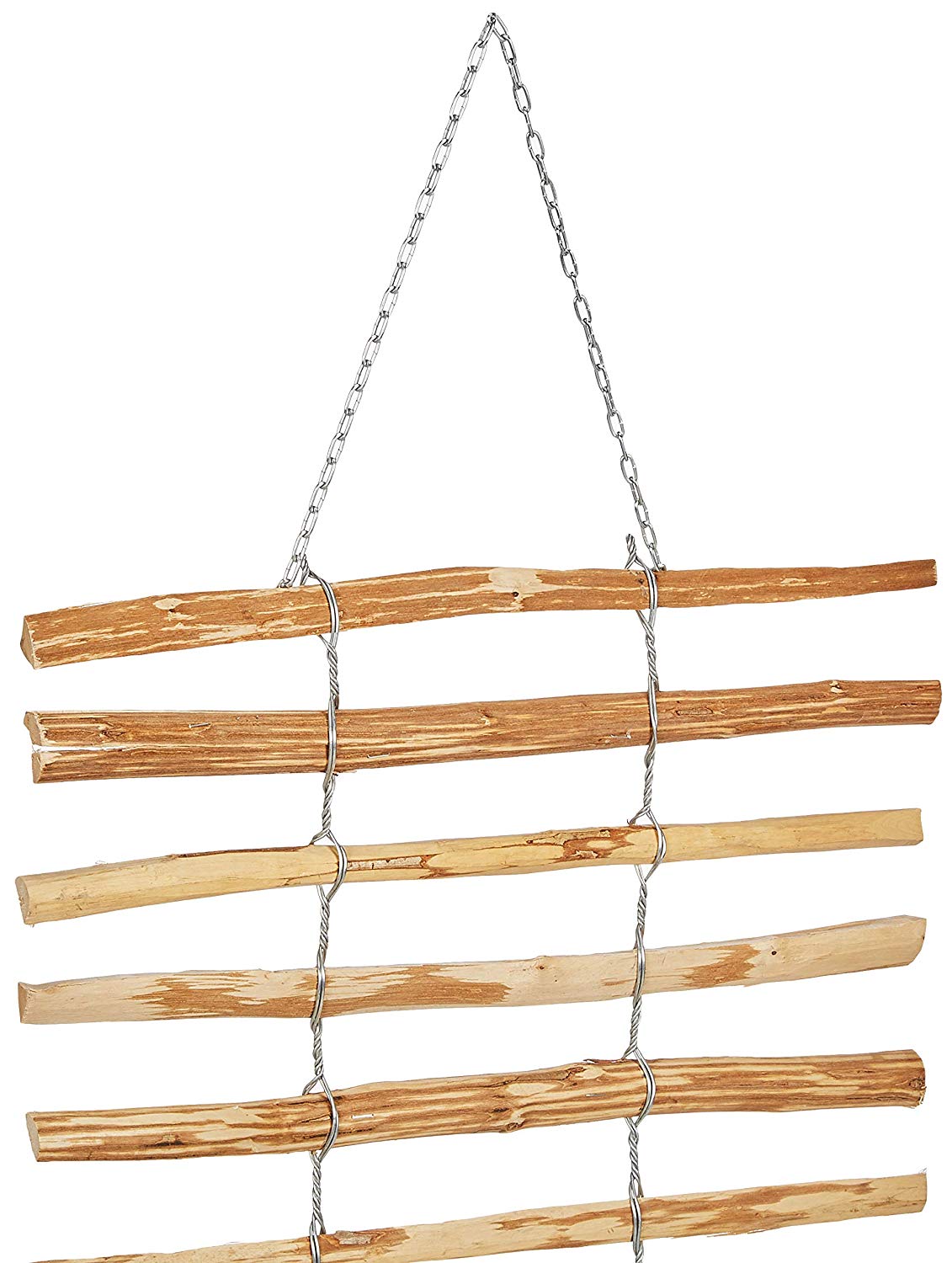 dobar Rankgitter-Spalier, Haselnuss 