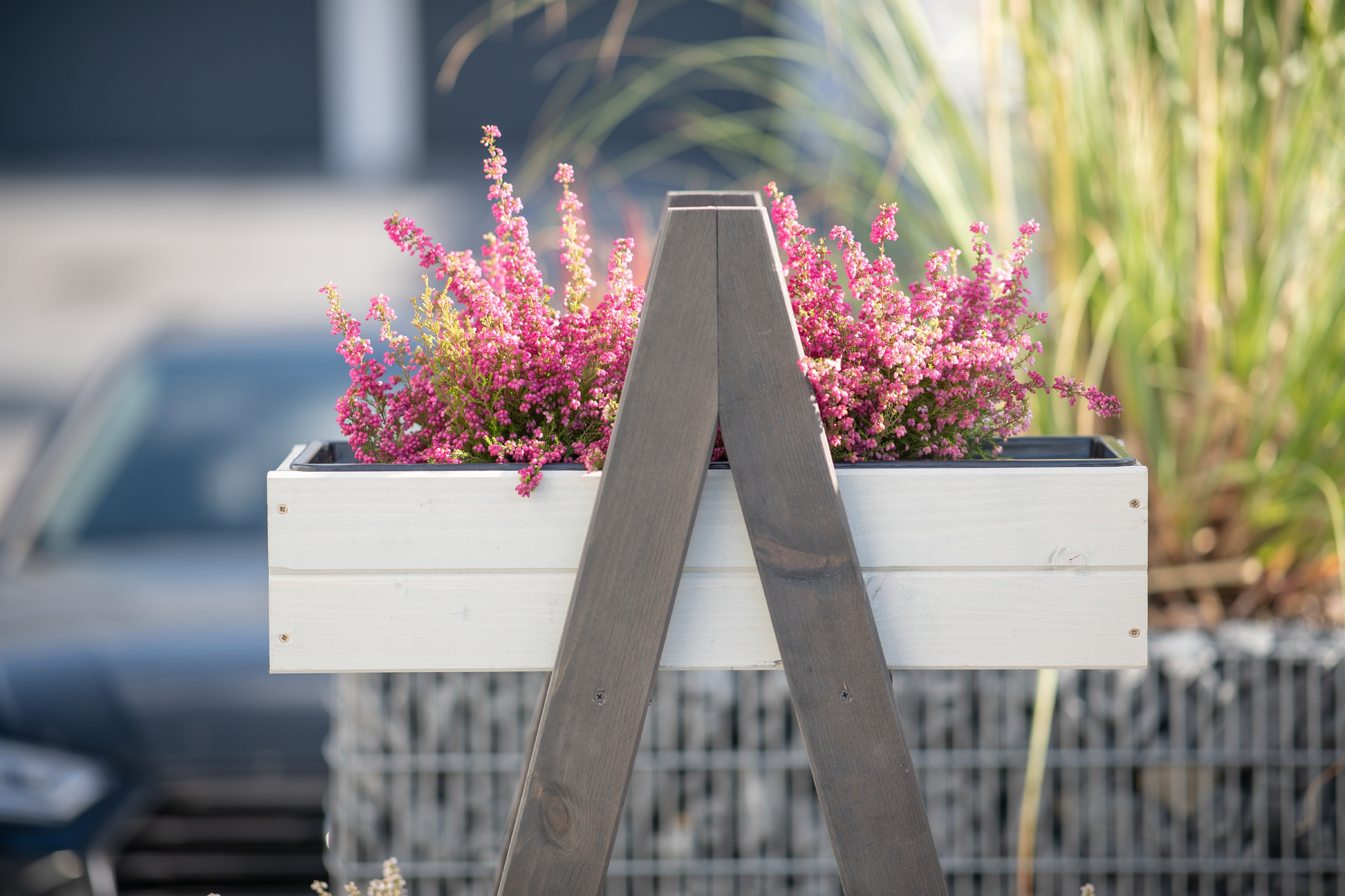 Westmann  Holz Pflanzenregal Ella 