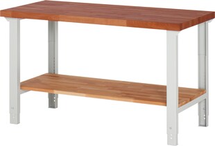 Rau Werkbank mit verstellbarer Arbeitshöhe - versch. Ausführungen 