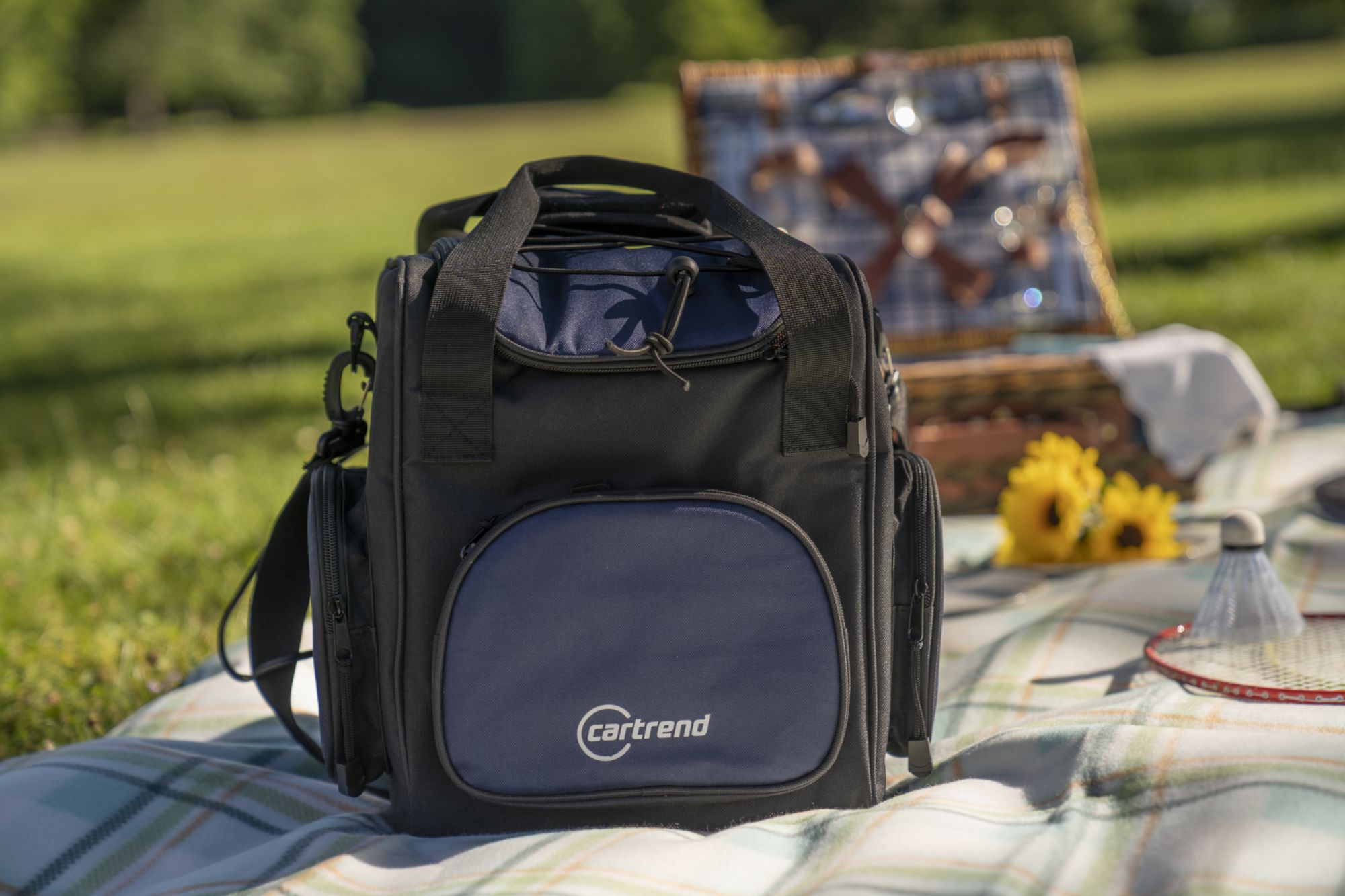 CARTREND K&uuml;hltasche 16L 