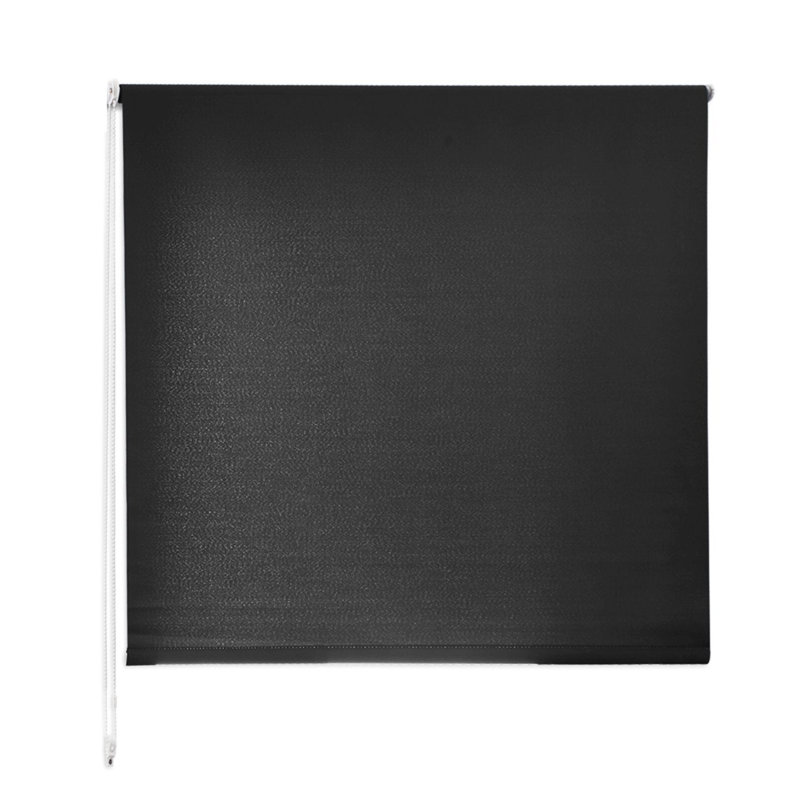Sichtschutzrollos Mini Daylight   Schwarz