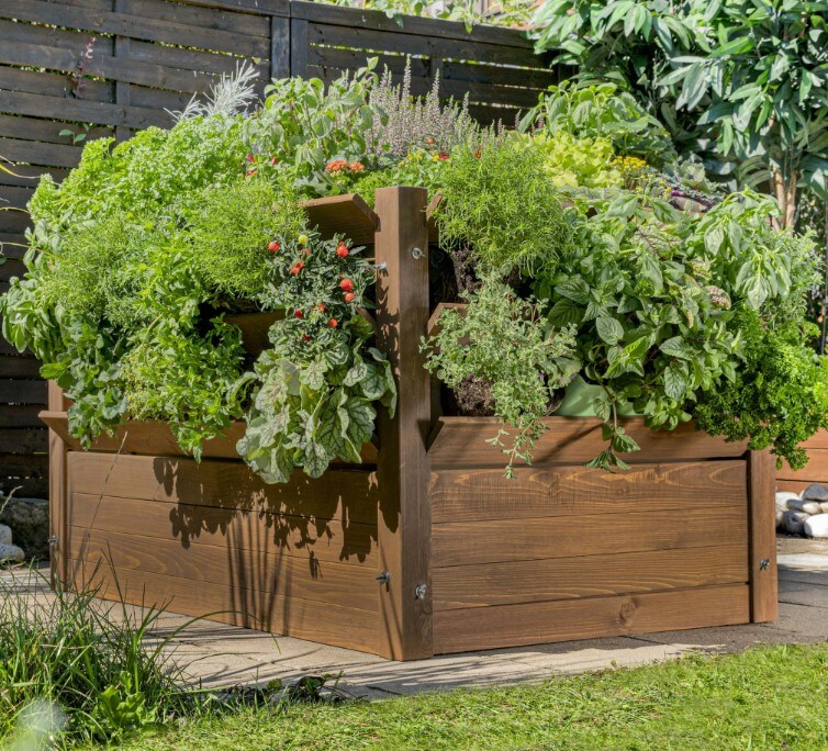 Kräuterhochbeet
