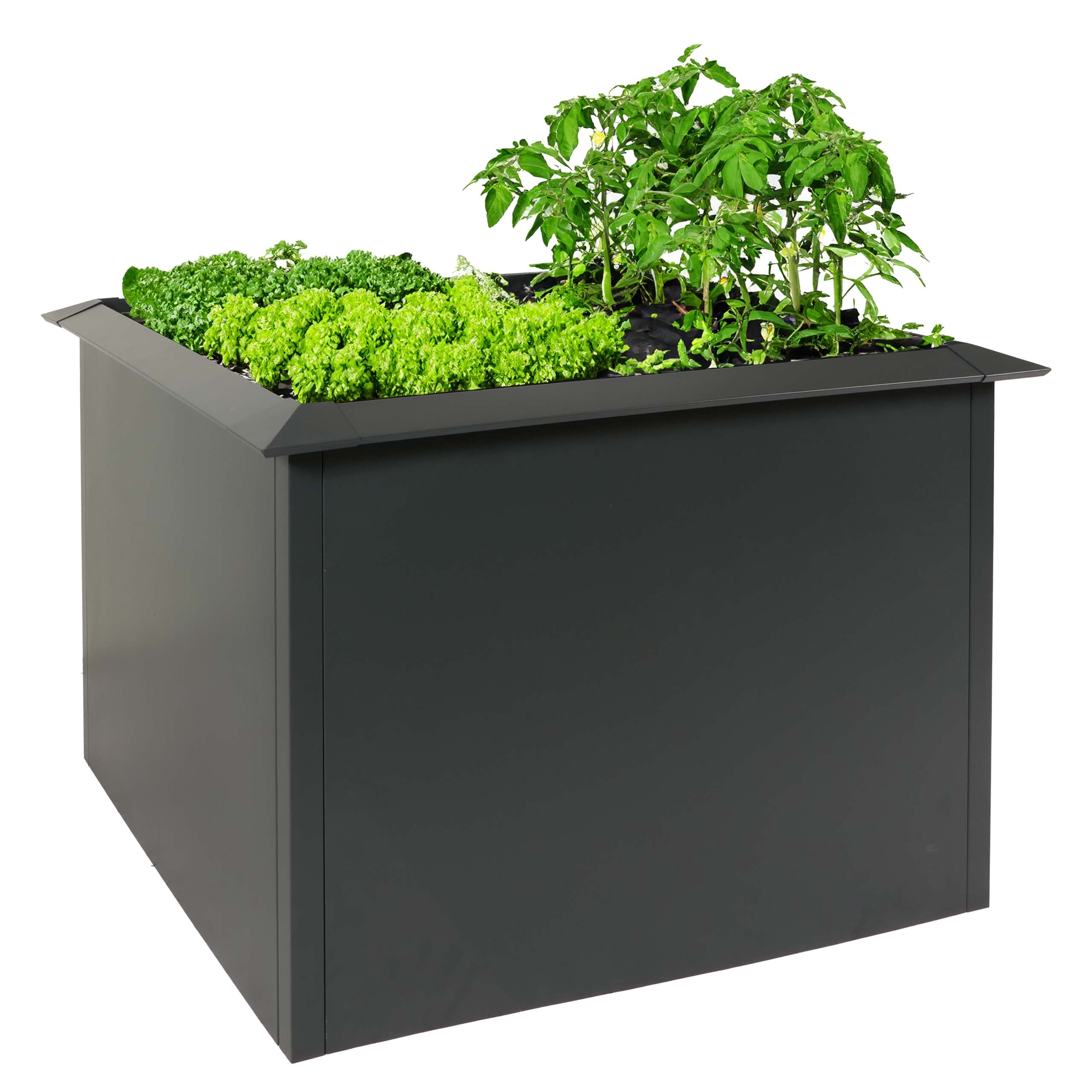 Hochbeet MCW-N24, Metallhochbeet Gem&uuml;sebeet Blumenkasten Pflanzk&uuml;bel, Schneckenkante 78x110x110cm Eisen 44kg, anthrazit 