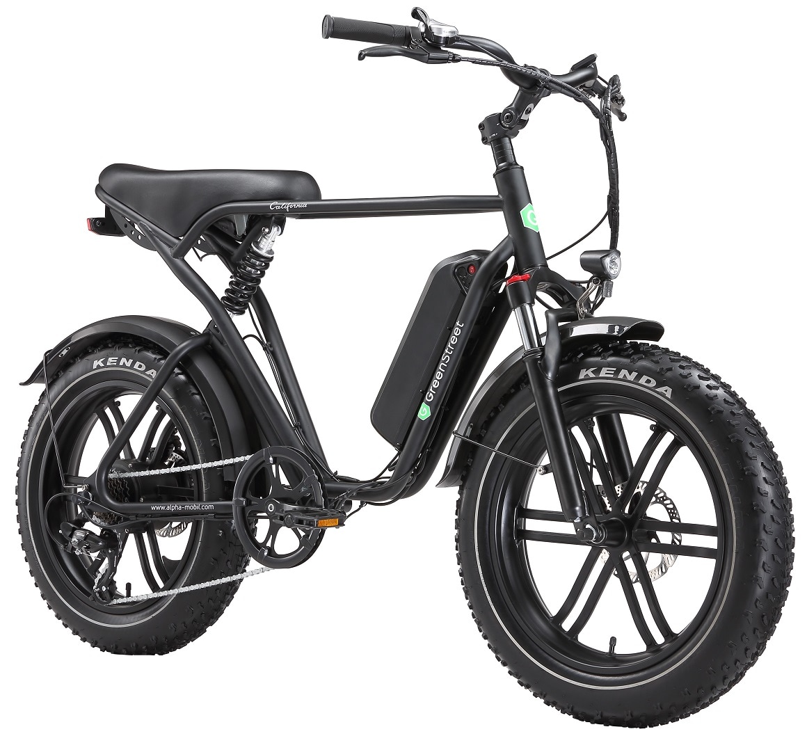 GreenSteet E-Bike Fat Tire California 250 W 20 Zoll schwarz 