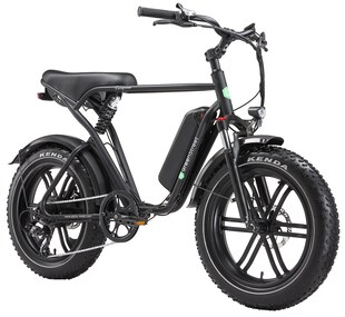 GreenSteet E-Bike Fat Tire California 250 W 20 Zoll schwarz 