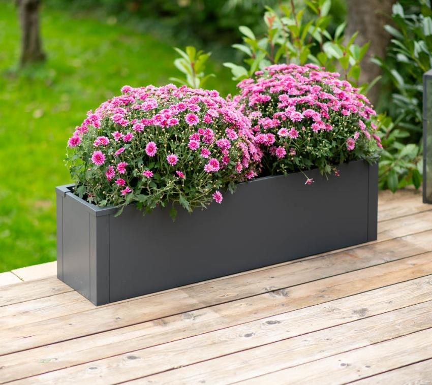 Westmann Metall Pflanzk&uuml;bel Talus M Anthrazit 25x100x27cm 