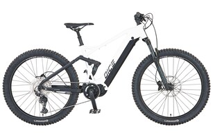 Prophete Dice 5.0 E-MTB E-Bike 27,5" 