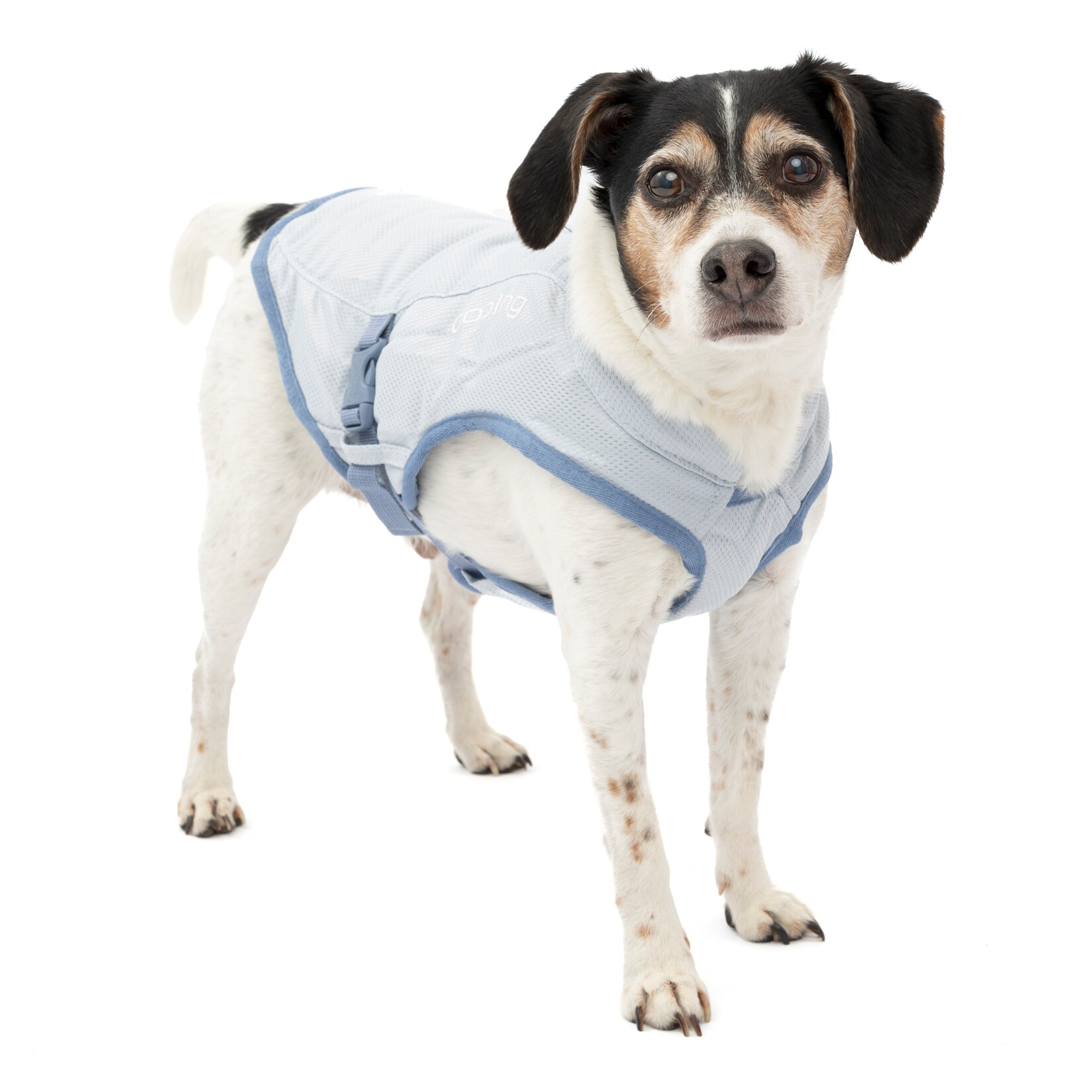 Kurgo Kühlweste für Hunde, Größe S