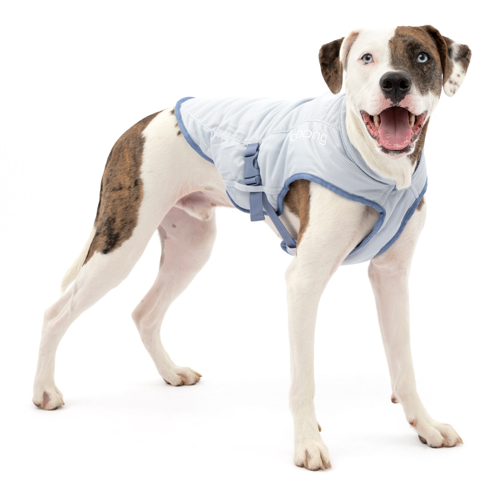 Kurgo Kühlweste für Hunde, Größe M