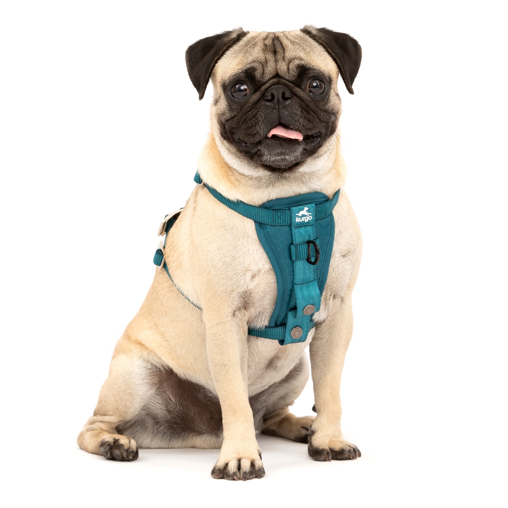 Kurgo Tru-Fit Autosicherheitsgeschirr für Hunde, Größe S, Tintenblau
