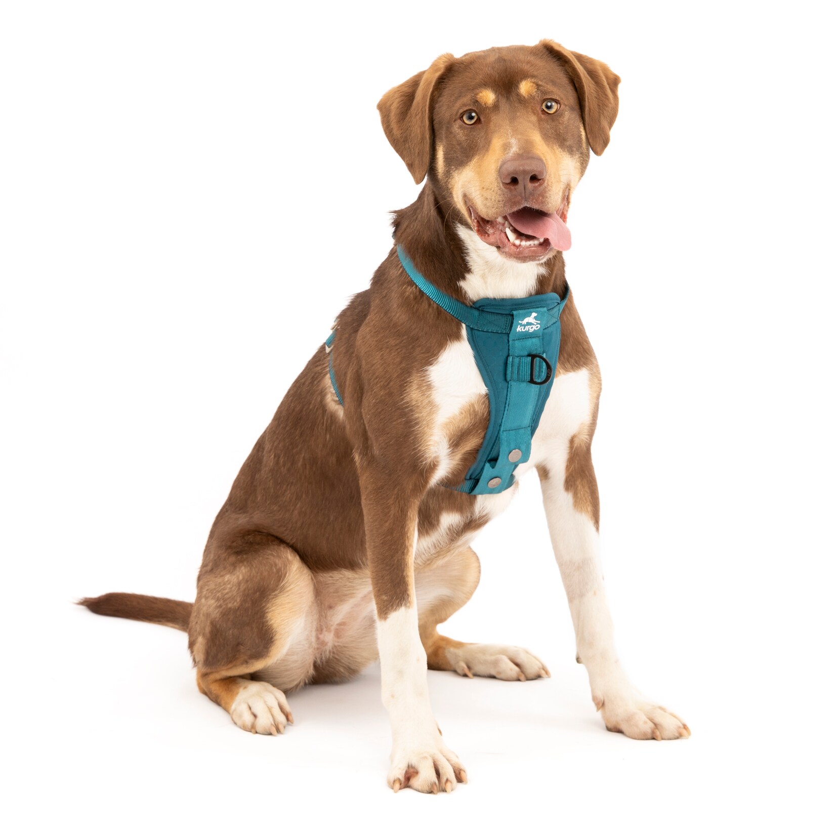 Kurgo Tru-Fit Autosicherheitsgeschirr für Hunde, Größe M, Tintenblau