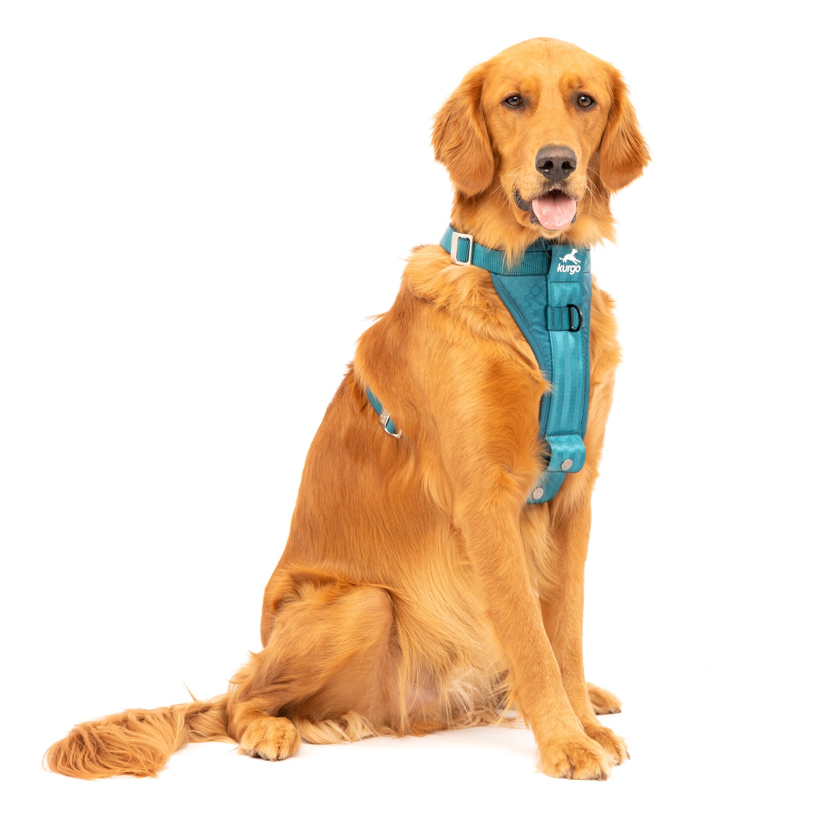 Kurgo Tru-Fit Autosicherheitsgeschirr für Hunde, Größe L, Tintenblau