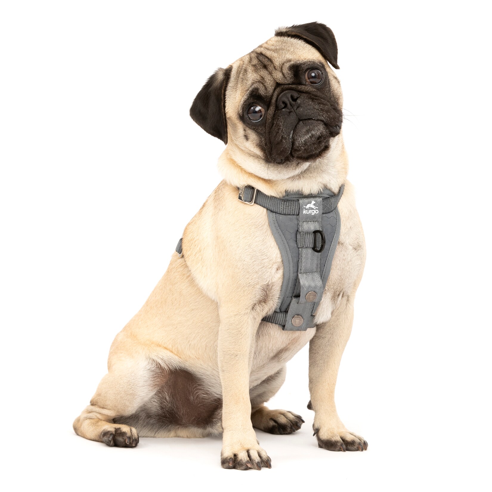 Kurgo Tru-Fit Autosicherheitsgeschirr für Hunde, Größe S, Grau