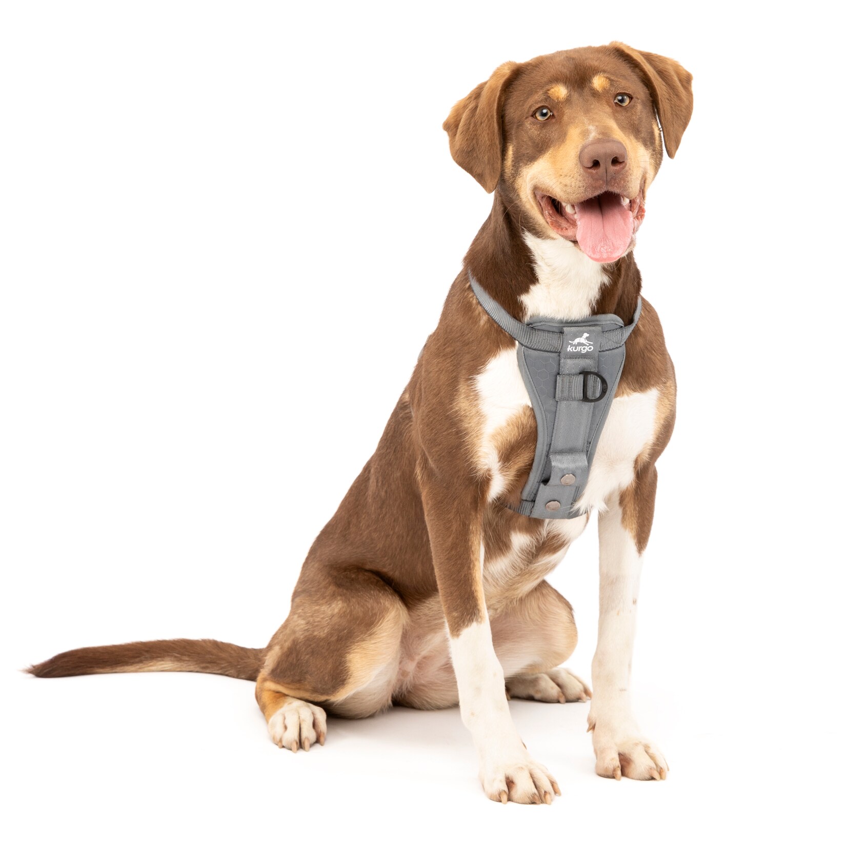 Kurgo Tru-Fit Autosicherheitsgeschirr für Hunde, Größe M, Grau