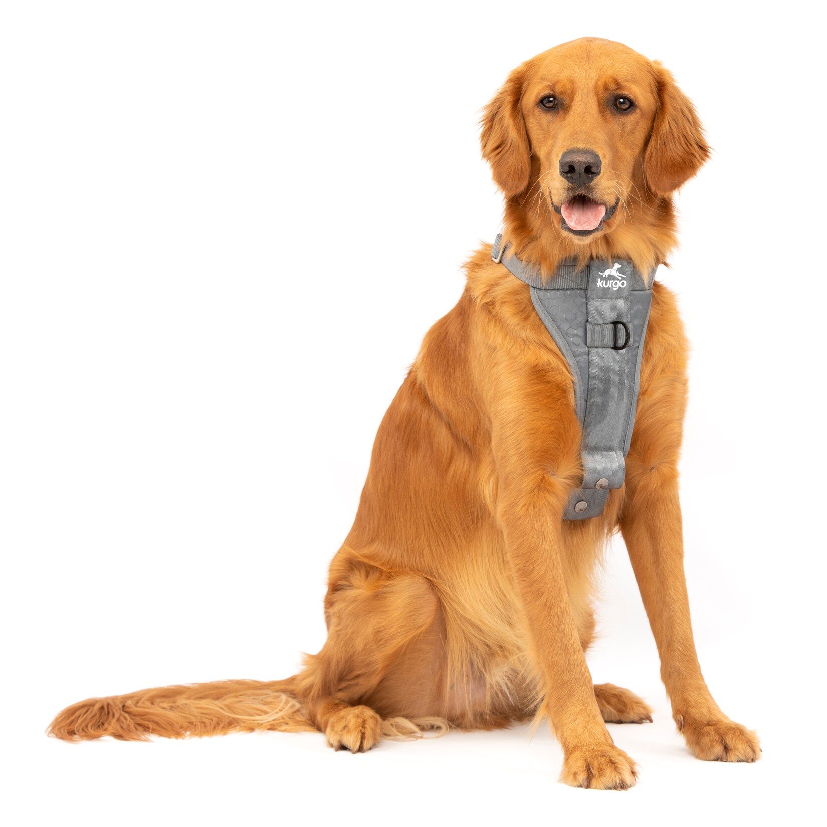 Kurgo Tru-Fit Autosicherheitsgeschirr für Hunde, Größe L, Grau