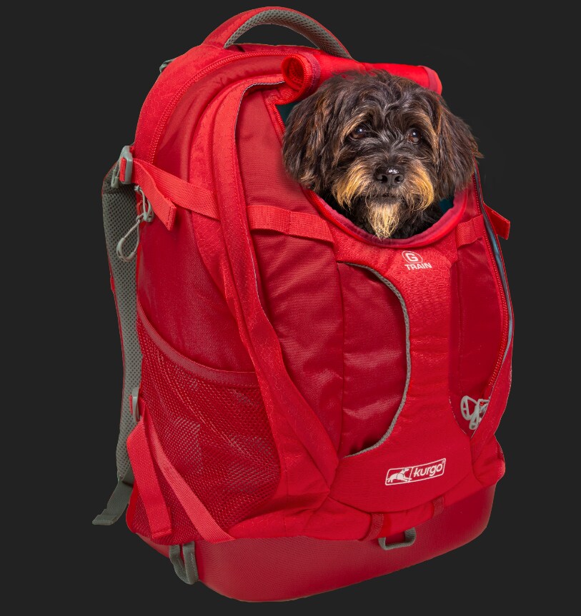 Kurgo G-Train Hunderucksack, Rot