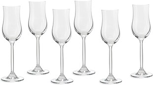 ECHTWERK Grappa-Gläser Daily 6er Set, 120 ml 