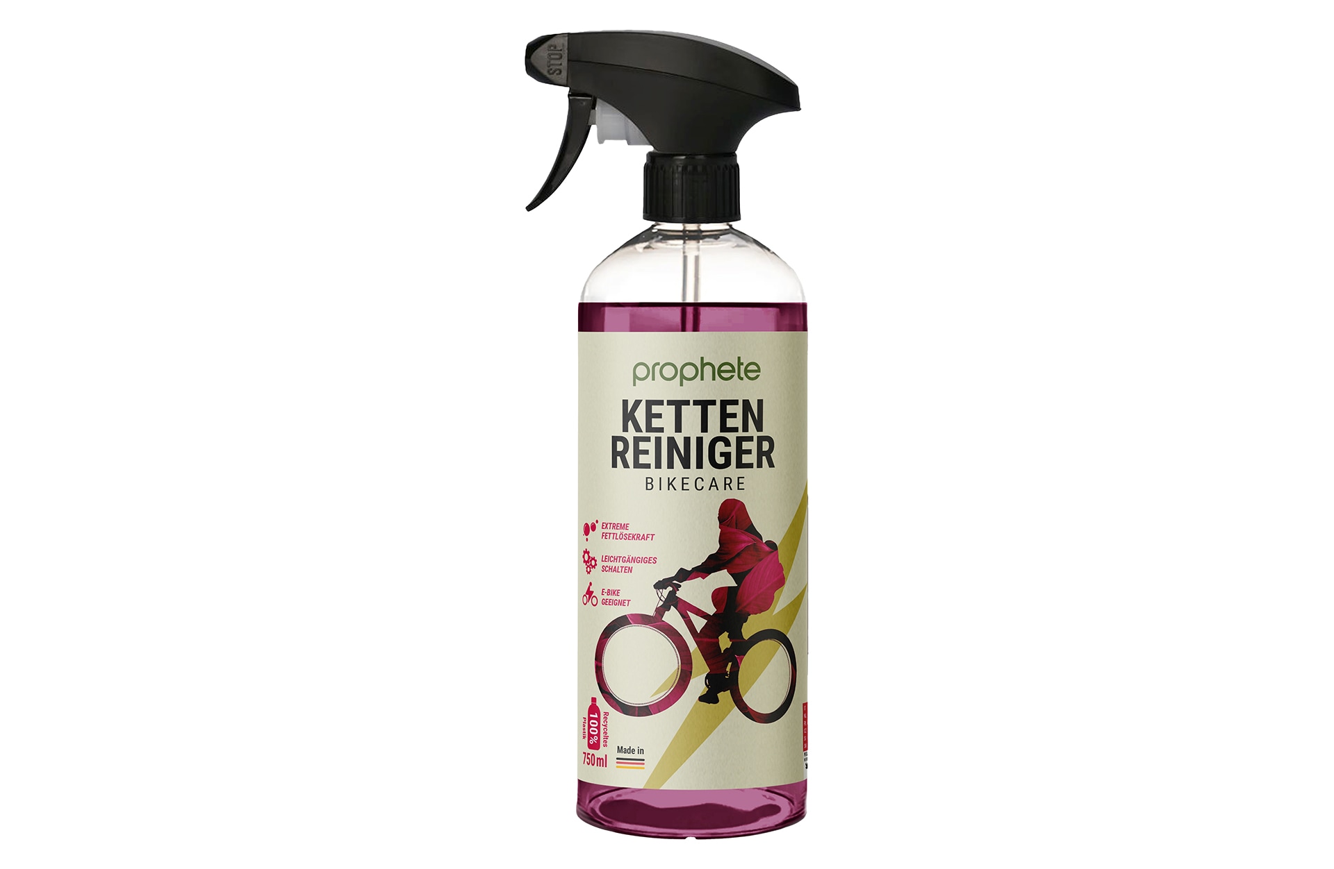 Kettenreiniger 750 ml 