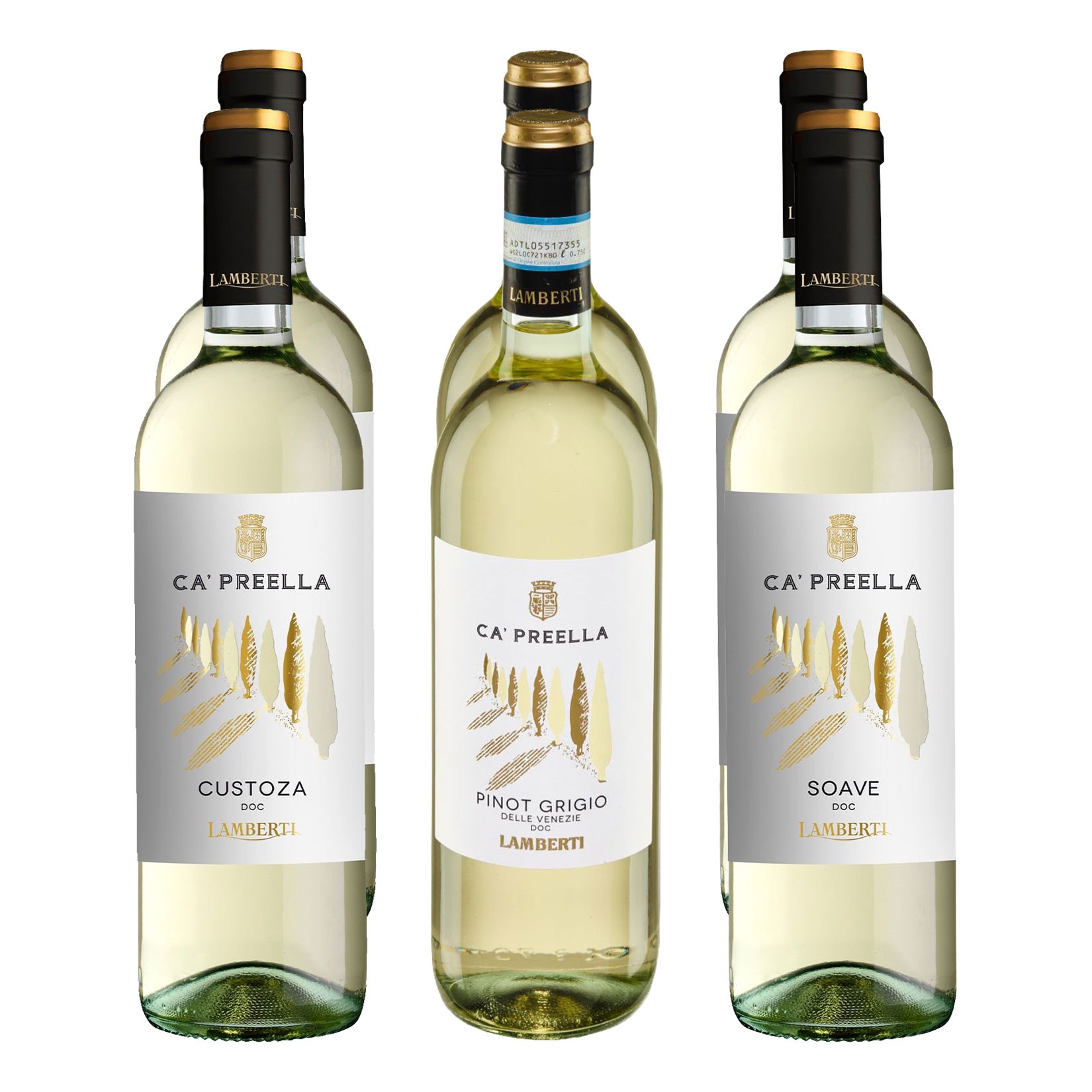 Wei&szlig;weinpaket aus dem Veneto 12,0 - 12,5 % vol 6 x 0,75 Liter 