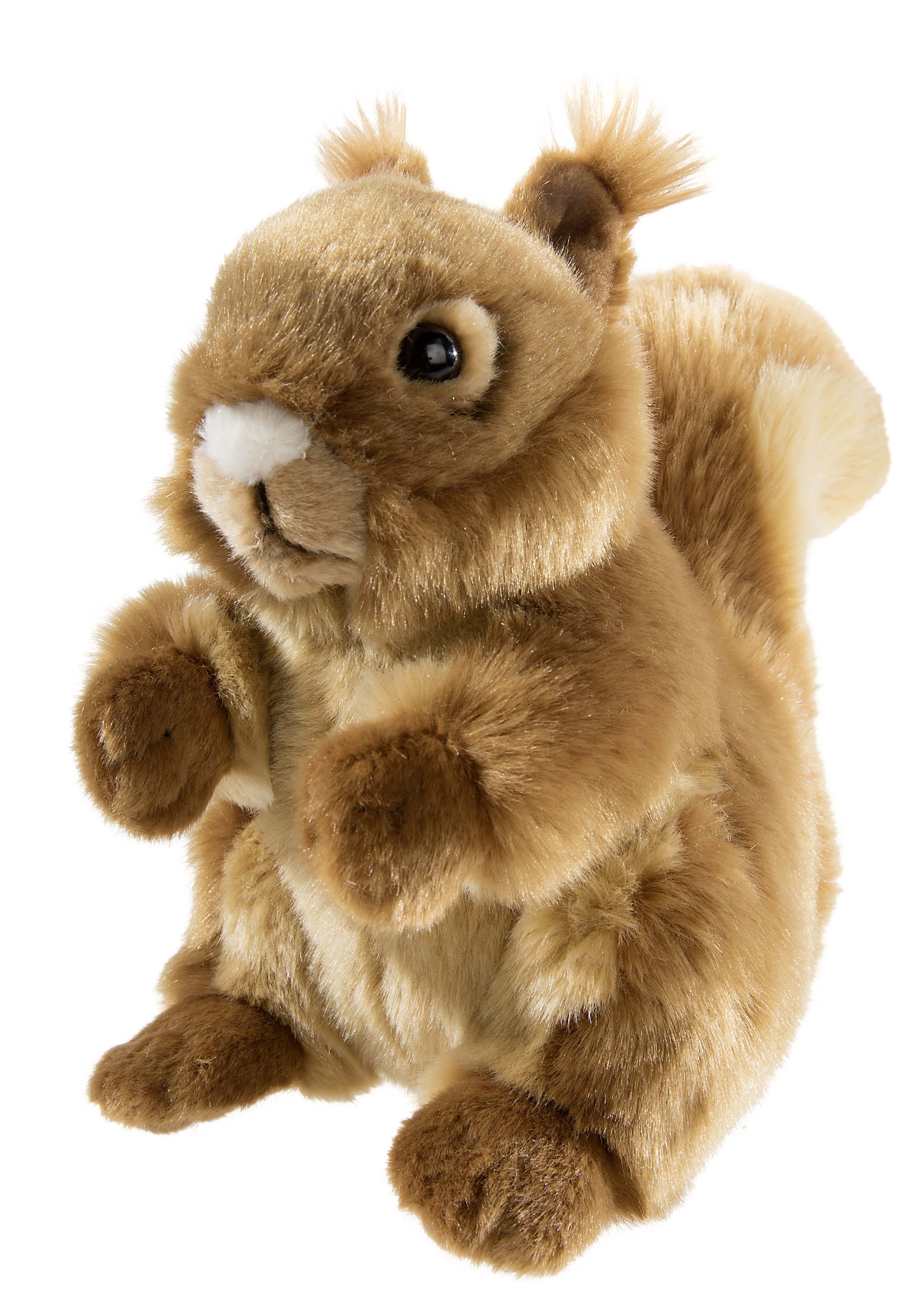MISANIMO Eichh&ouml;rnchen 