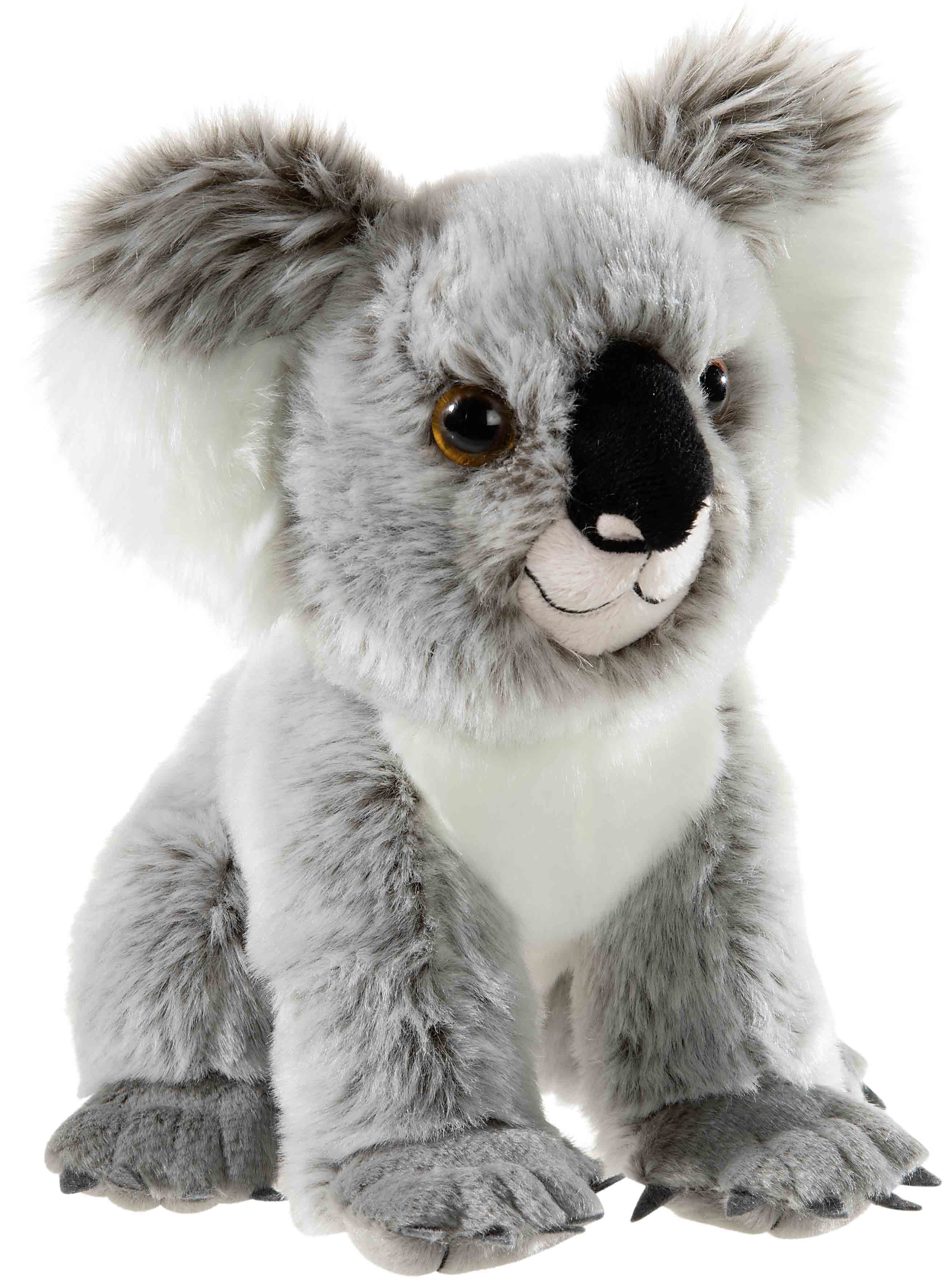BEDROHTE TIERE Koala B&auml;r 