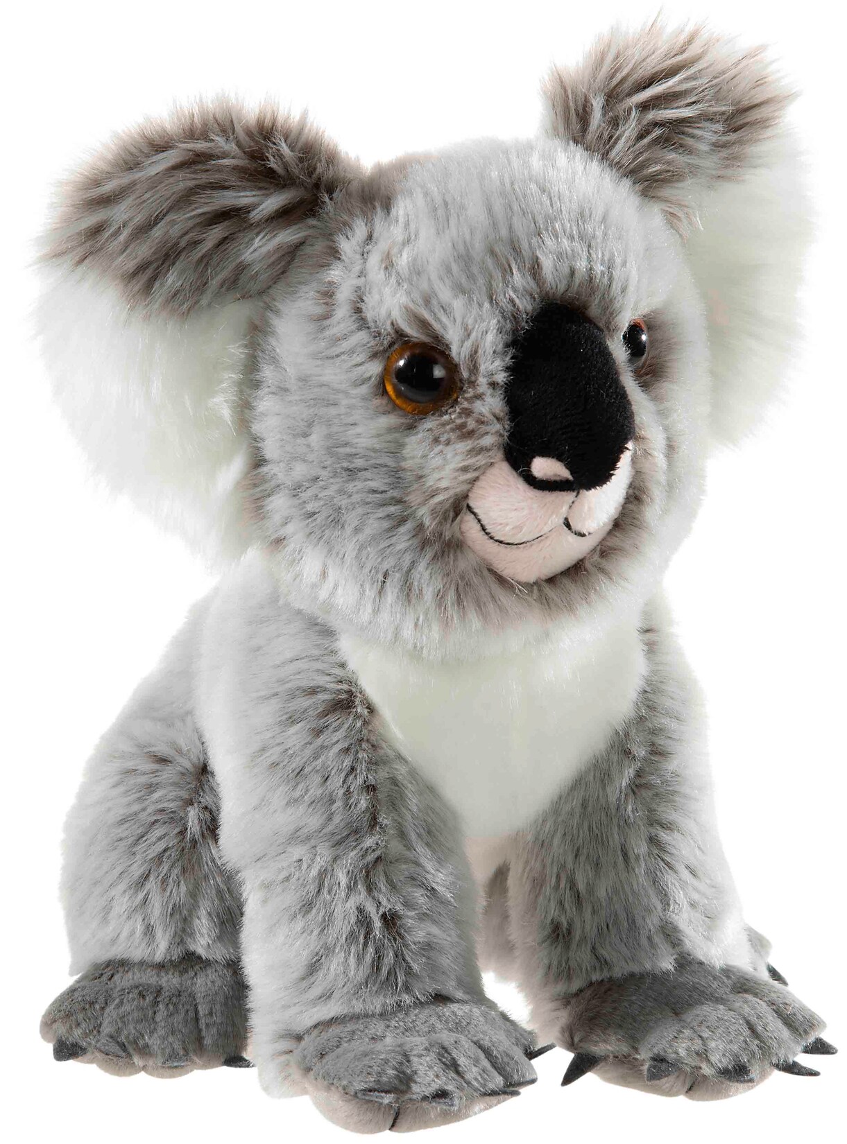 BEDROHTE TIERE Koala Bär