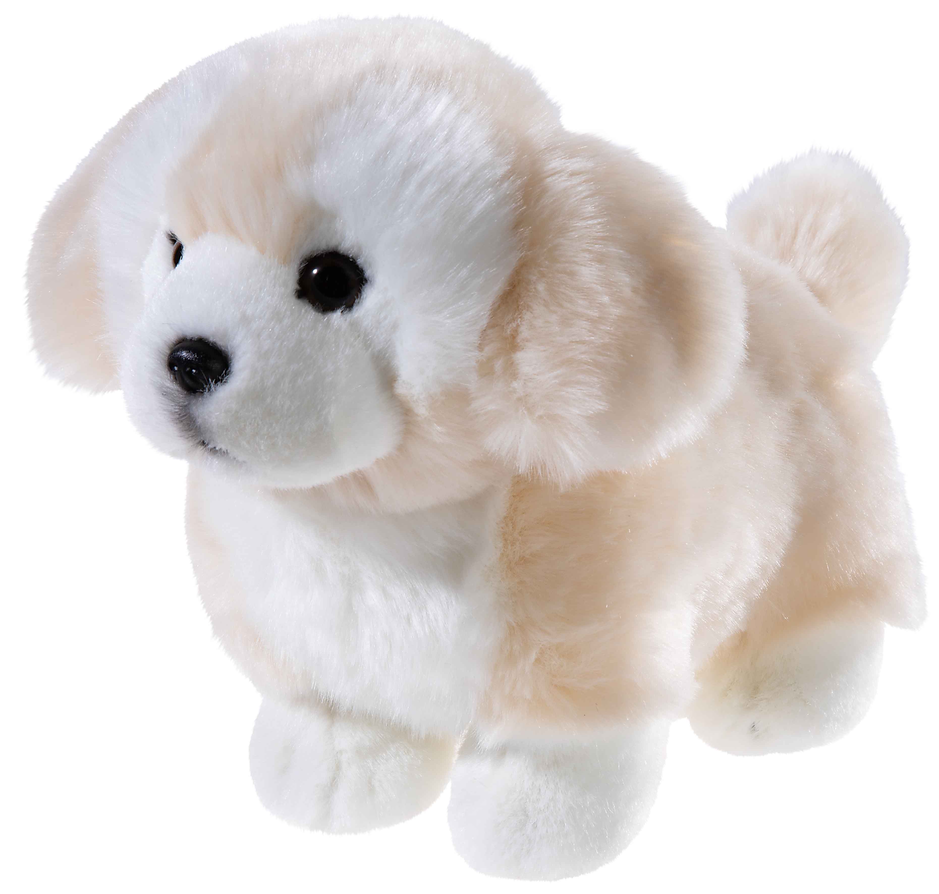 MISANIMO SHORT LEGS CLUB Terrier 