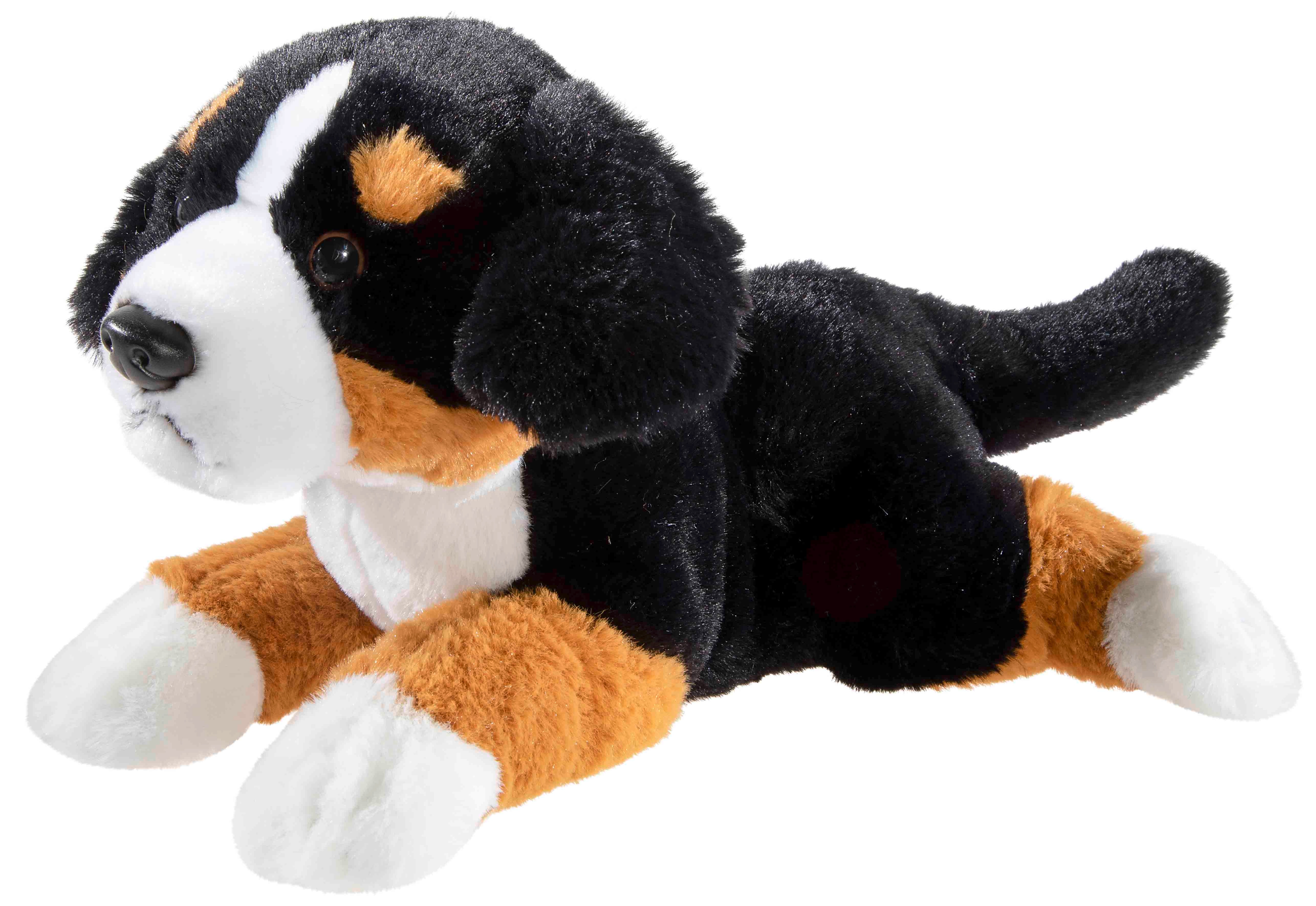MISANIMO WELPE Sennenhund liegend 